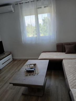 Apartman Djukic